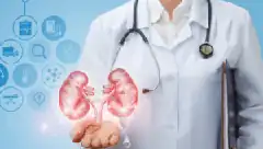 Ilustração médica representando curiosidades da urologia para leigos